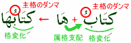 彼女の本は