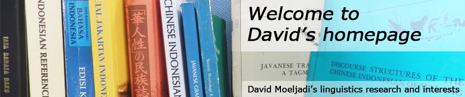 Selamat datang di laman David: penelitian linguistik dan bidang-bidang yang diminati