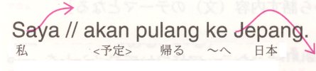 Saya akan pulang ke Jepang.