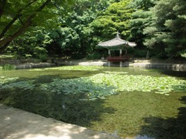 �����{ photo by Noma Hideki