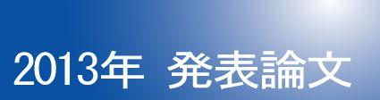 2013年発表論文