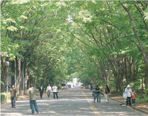 学芸大2