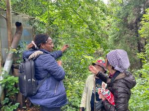 IMG-20260523-WA0038.jpg
