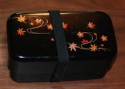 20111119Bento.JPG