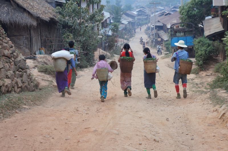 摘んだチャが入った籠を背負って歩く子供たちの後ろ姿