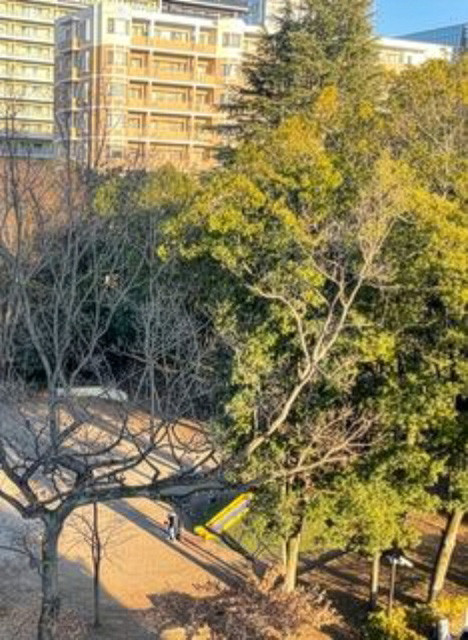 暖かい午後の日差しが差し込む児童公園