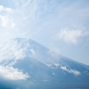 はーと 培倶人