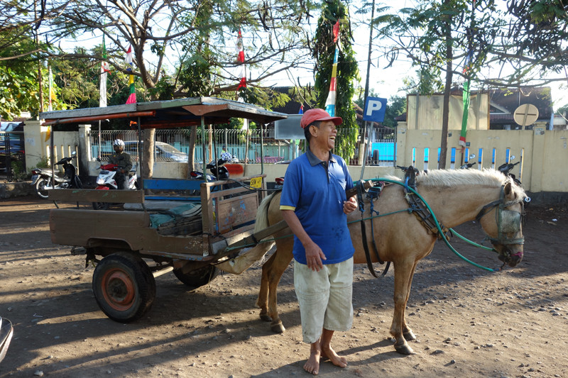 西部ヌサ・トゥンガラ州の馬と人