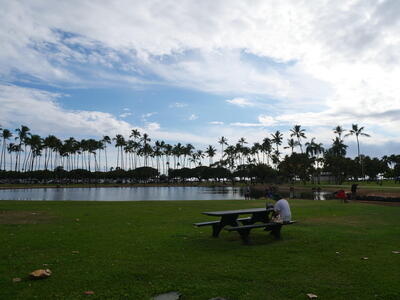 hawai2-11芝生.jpg