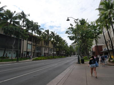 hawai2-9ワイキキ大通り.jpg