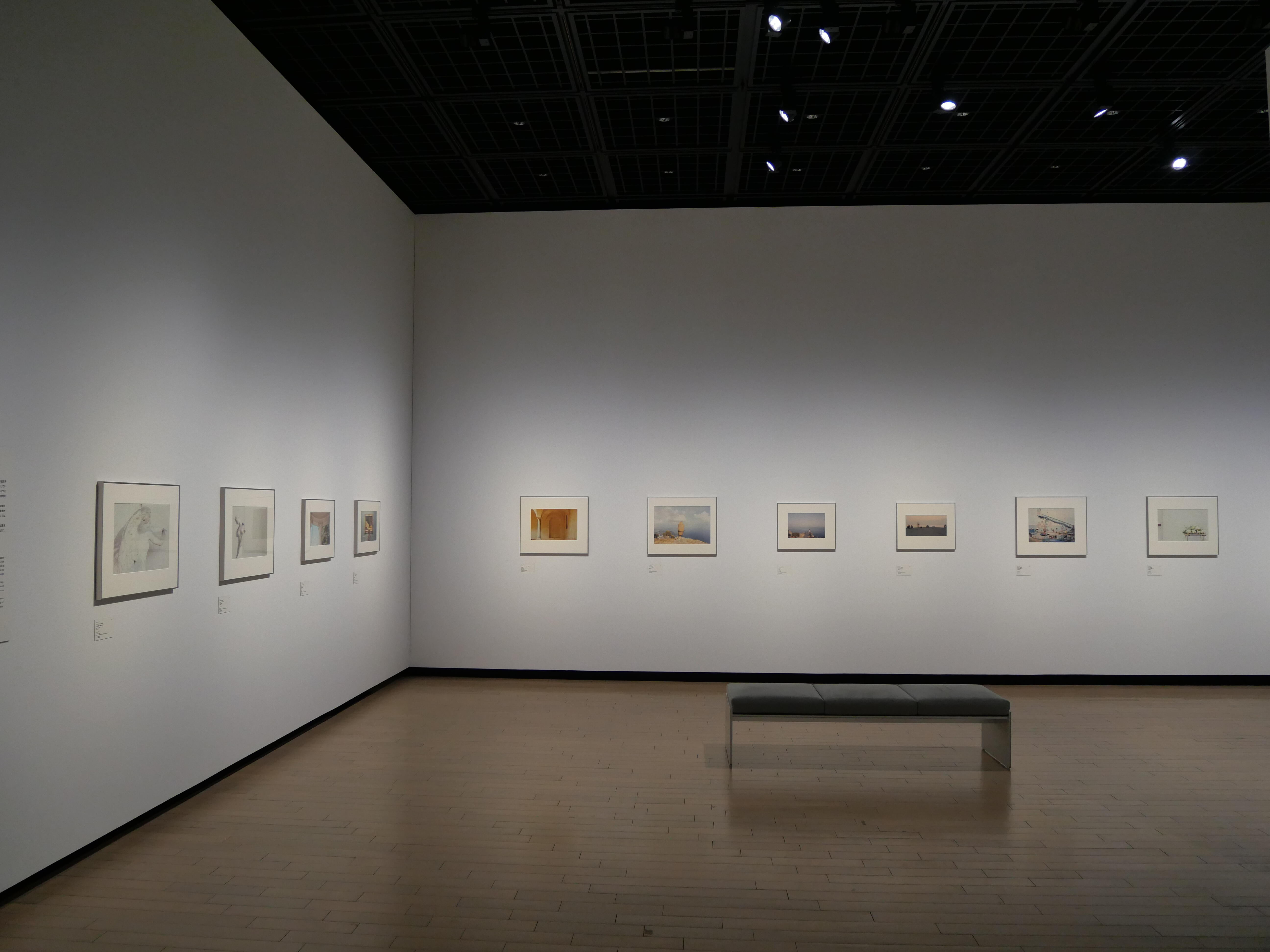 P1553498.JPG.jpg