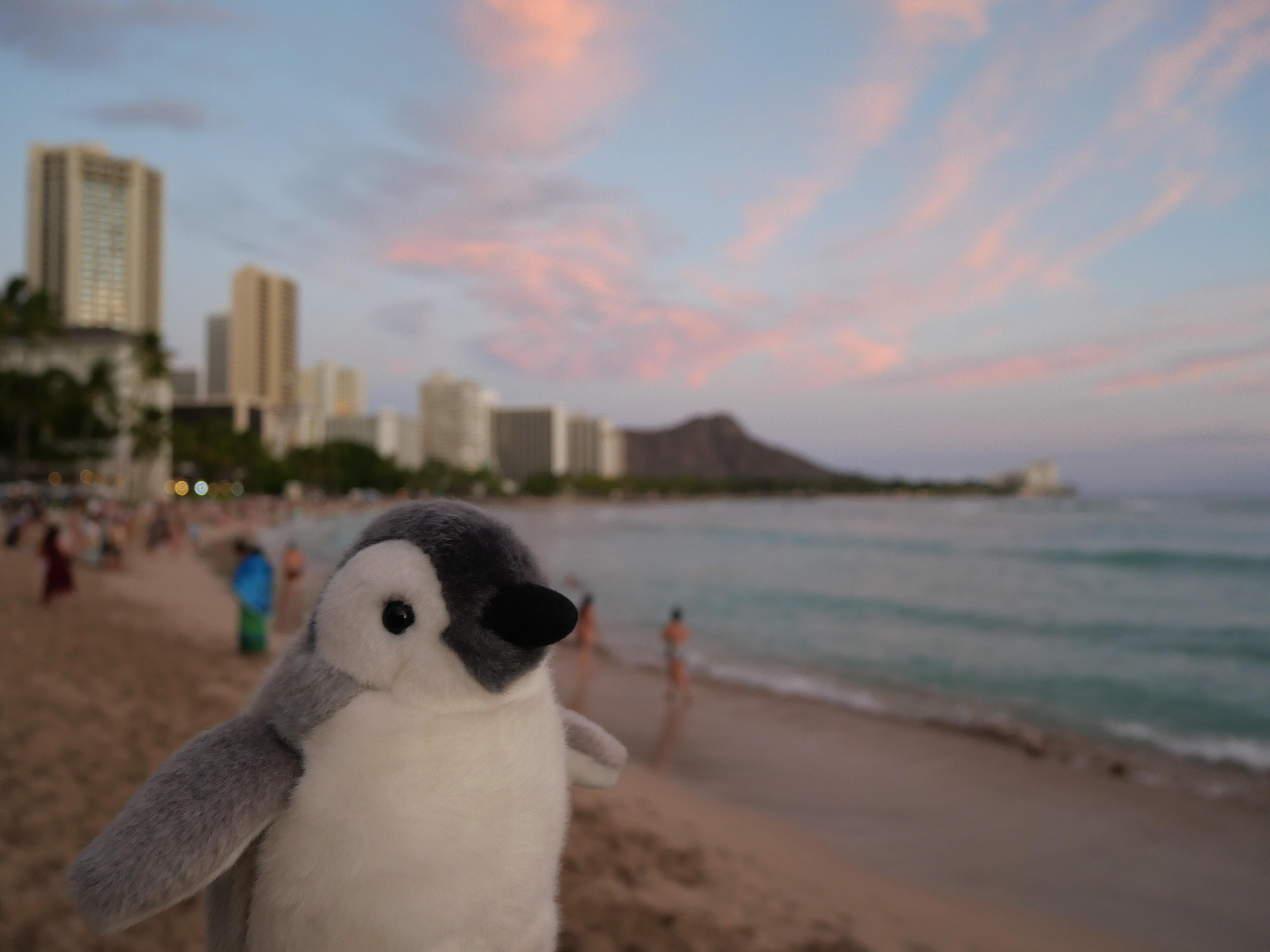 hawai2-1.jpg