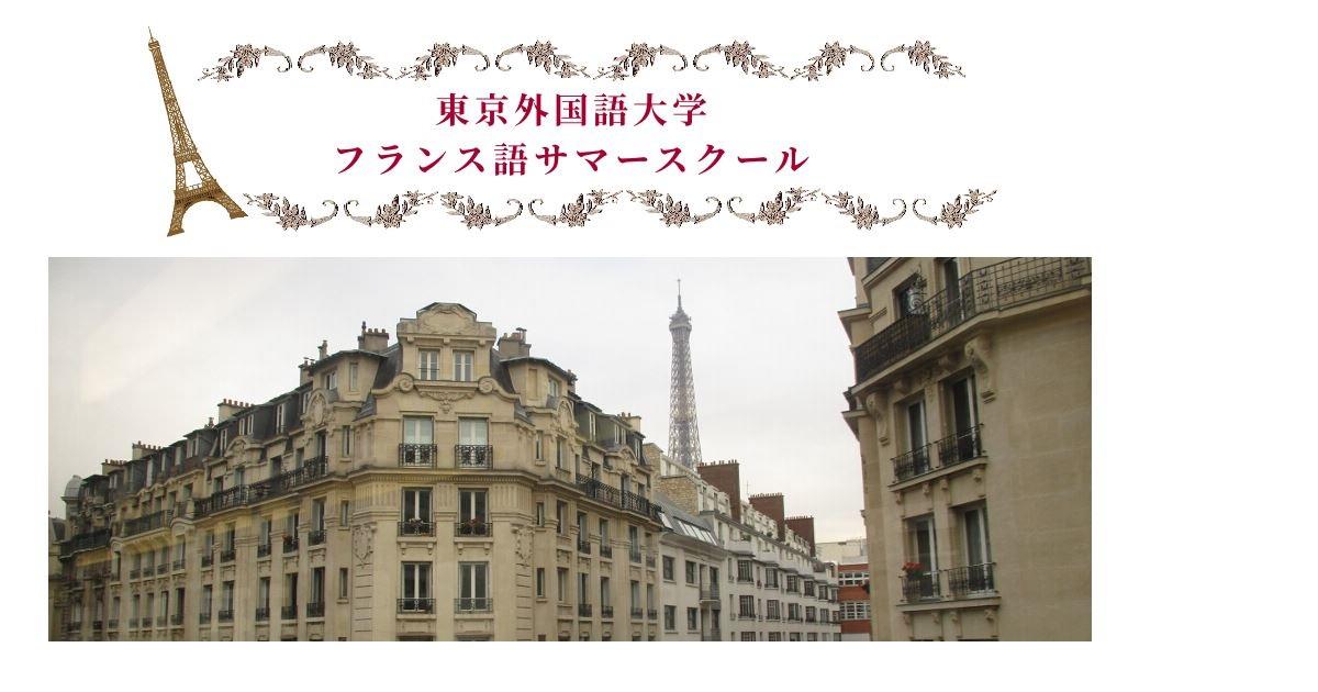 東京外国語大学サマースクールでMIRAIフェローシップ生が教鞭をとります！