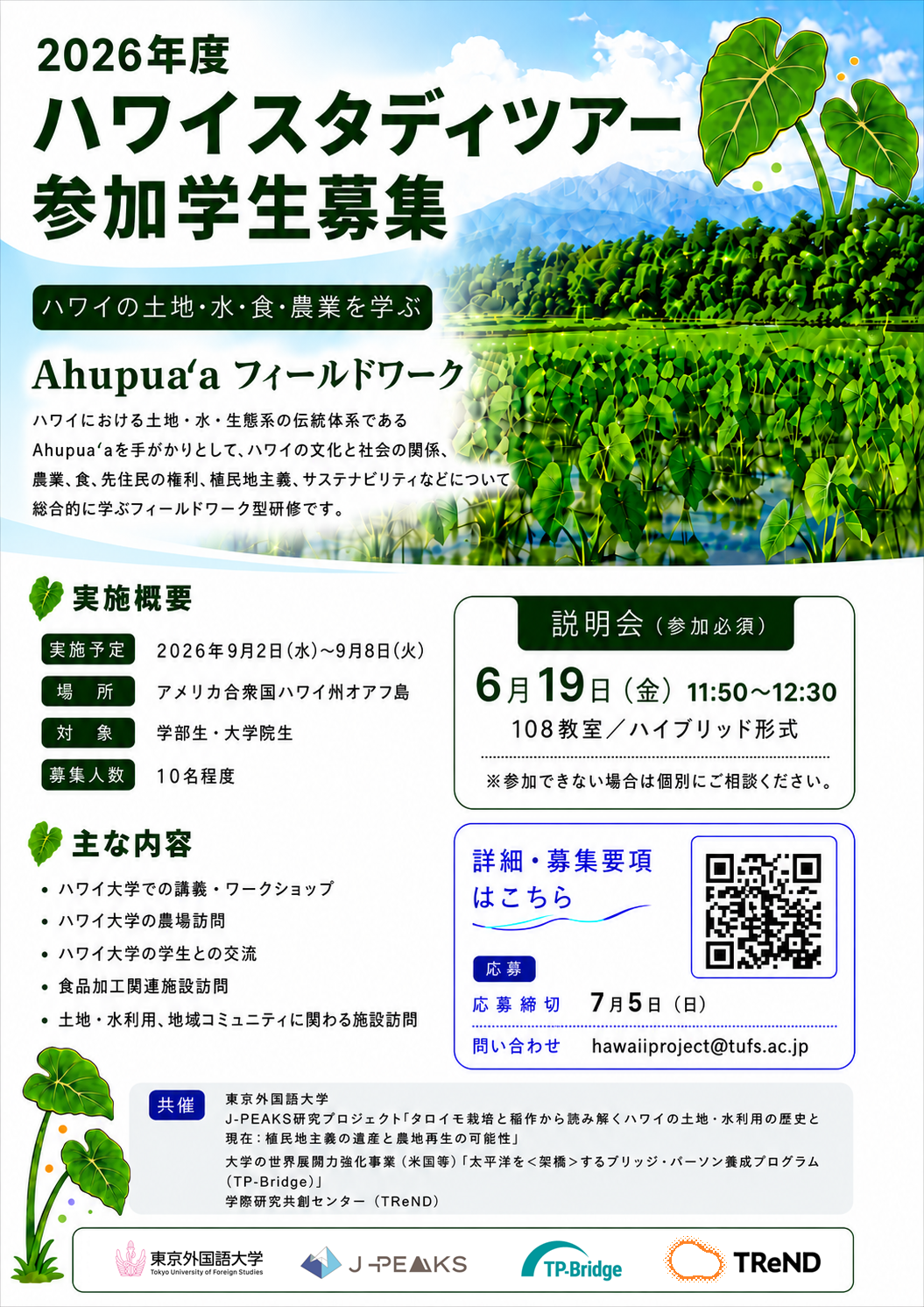 ハワイスタディツアー募集ポスター.png